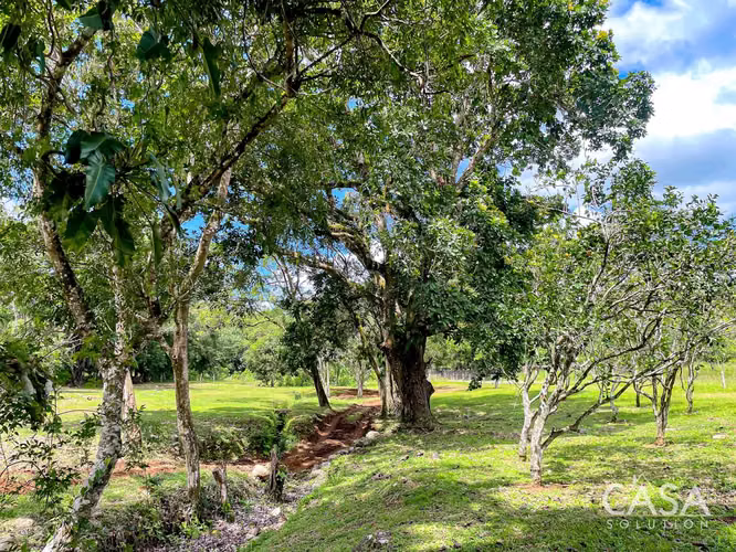 Hermoso Terreno en Venta en Potrerillos Abajo, Dolega, Chiriquí