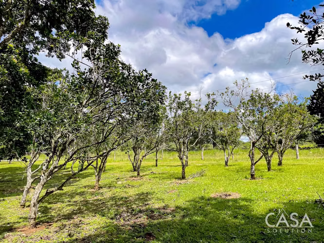 Hermoso Terreno en Venta en Potrerillos Abajo, Dolega, Chiriquí