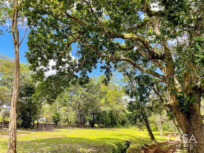 Hermoso Terreno en Venta en Potrerillos Abajo, Dolega, Chiriquí