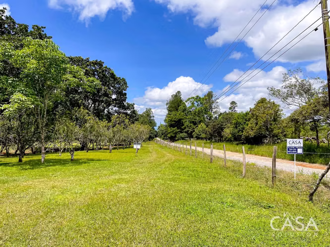 Hermoso Terreno en Venta en Potrerillos Abajo, Dolega, Chiriquí