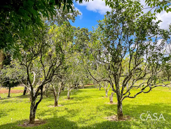 Hermoso Terreno en Venta en Potrerillos Abajo, Dolega, Chiriquí