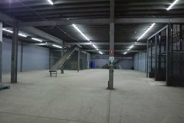Bodega en Alquiler en Zona Libre de Colón – France Field | 3,900 m² | $4.00/m² - Imagen 8