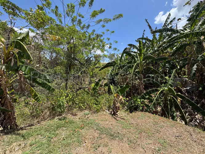 VENTA DE TERRENO EN PACORA MCD26-1609