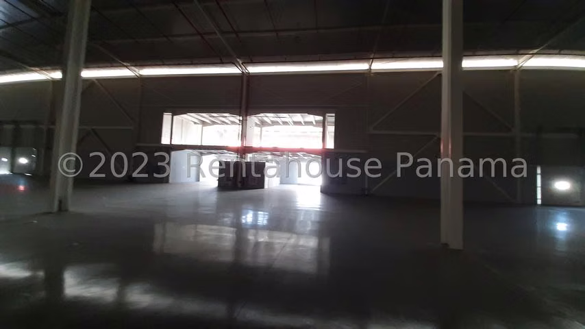 Sell galera in Pacorá LF26-8275 Only Direct Client