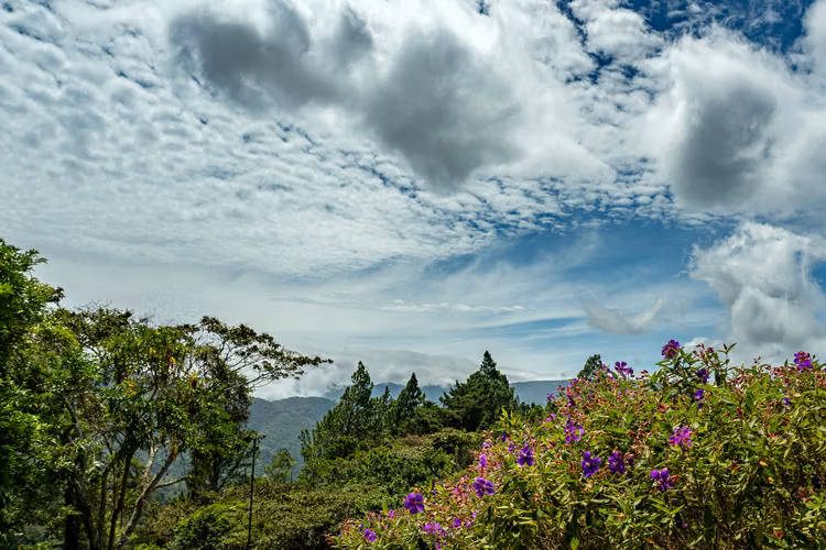 Terreno en comunidad privada en Boquete, Panamá