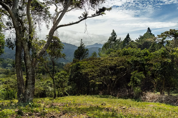 Terreno panorámico en las tierras altas de Boquete, Panamá
