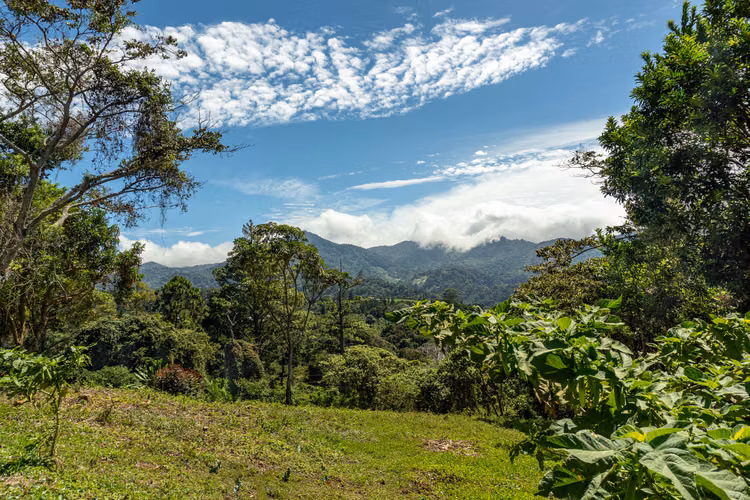 Scenic Highlands Land in Boquete Panama