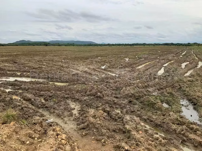 Venta de Terreno en Penonome Finca Agroganadera CCO