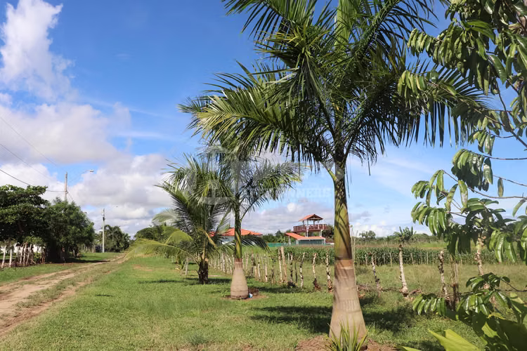 VENTA DE LOTE DE PLAYA – LINDA VISTA, POCRÍ
