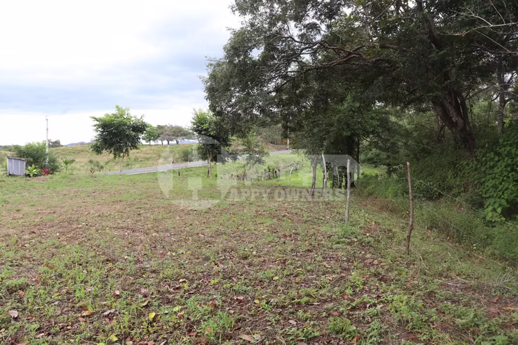 VENTA DE LOTE EN CAÑAS – CERCA DE PLAYA VENAO - Imagen 6