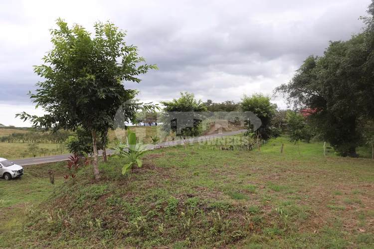 VENTA DE LOTE EN CAÑAS – CERCA DE PLAYA VENAO - Imagen 4