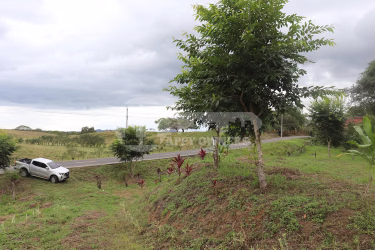 VENTA DE LOTE EN CAÑAS – CERCA DE PLAYA VENAO - Imagen 3