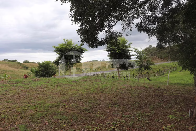 VENTA DE LOTE EN CAÑAS – CERCA DE PLAYA VENAO - Imagen 8