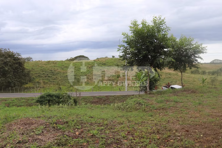 VENTA DE LOTE EN CAÑAS – CERCA DE PLAYA VENAO - Imagen 7