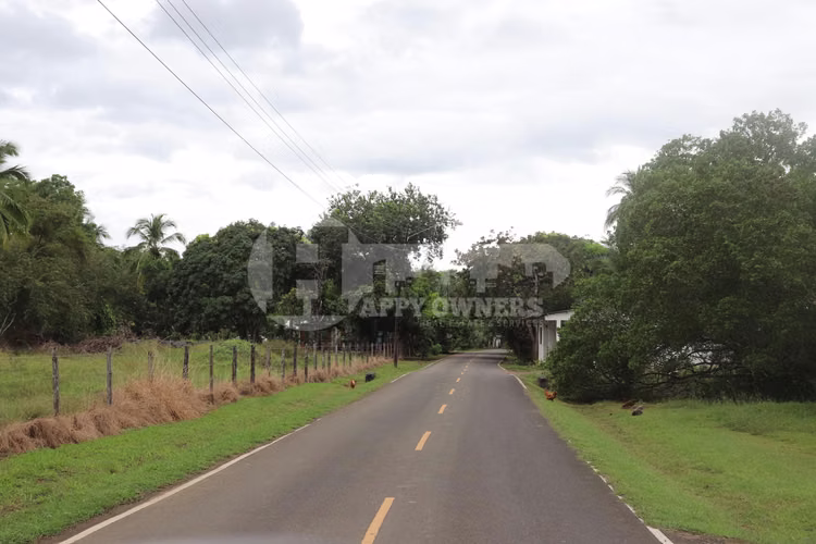 VENTA DE LOTE EN CAÑAS – CERCA DE PLAYA VENAO - Imagen 14