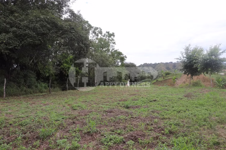 VENTA DE LOTE EN CAÑAS – CERCA DE PLAYA VENAO - Imagen 9