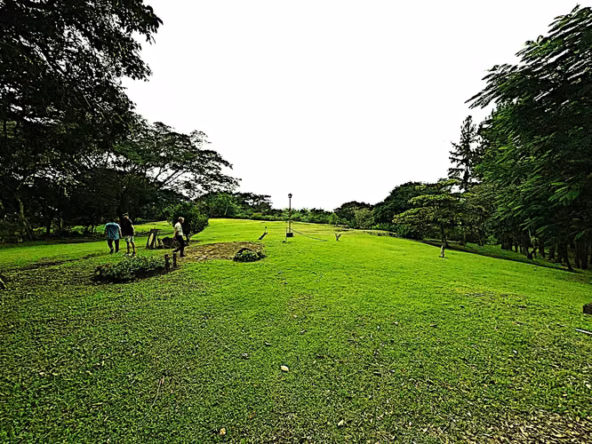 VENTA FINCA EN EL VALLE