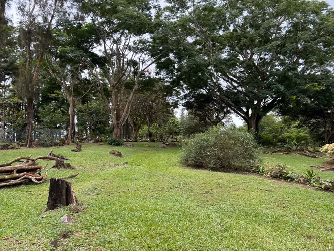 VENTA FINCA EN EL VALLE