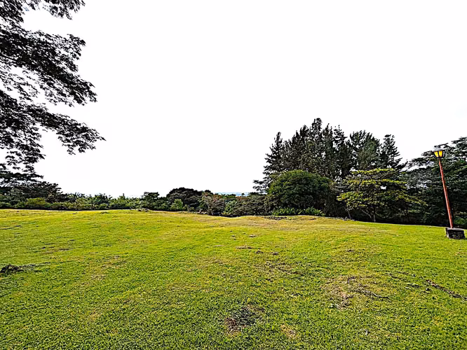 VENTA FINCA EN EL VALLE