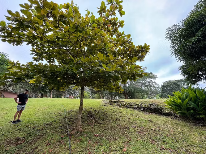 VENTA FINCA EN EL VALLE