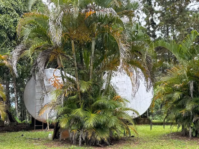 VENTA FINCA EN EL VALLE