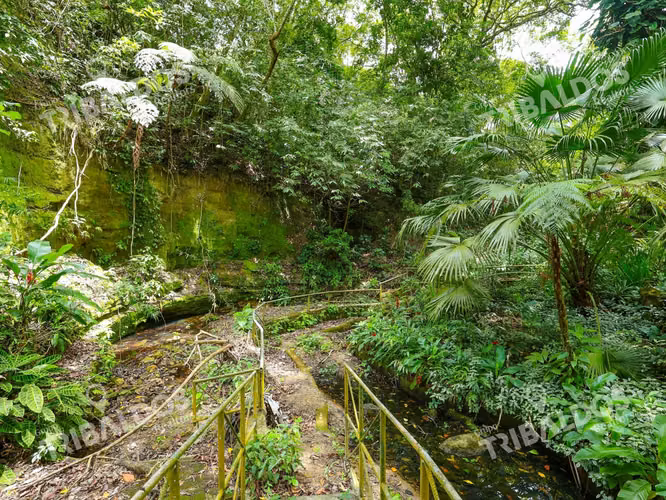Venta de 1.8 Hectáreas con Ríos y senderos vía al Valle de Antón - Imagen 7