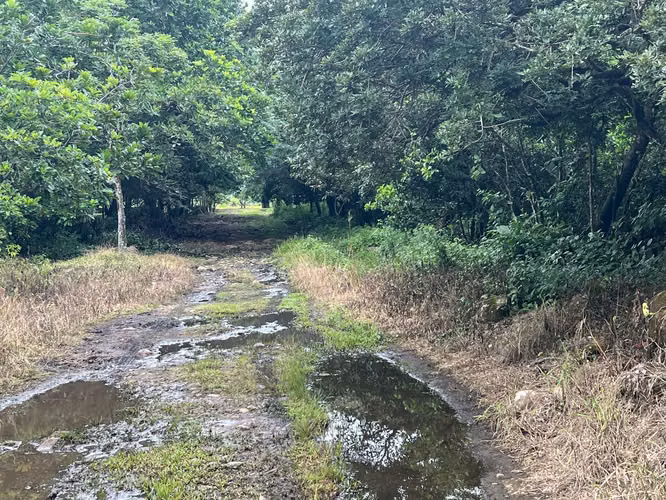 VENTA TERRENO EN BOQUETE