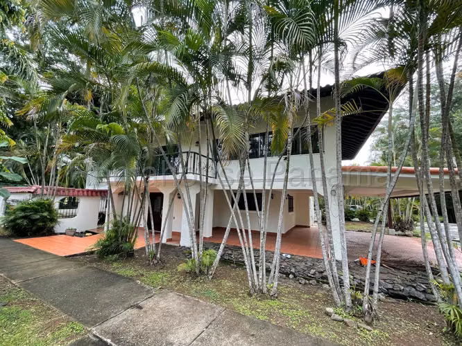 Casa En Alquiler En Albrook KC