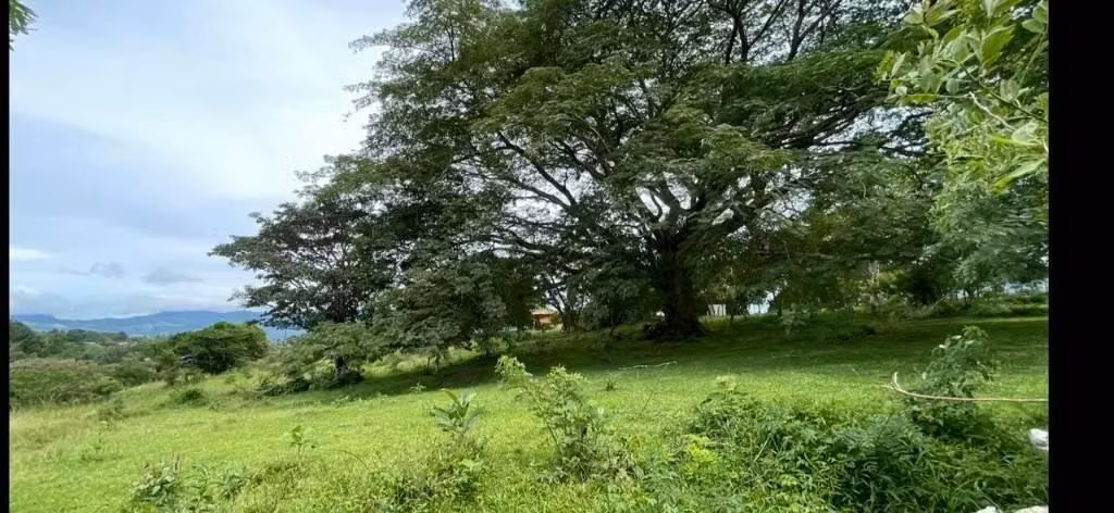 FINCA PARA GANADERÍA SE VENDE LA CHORRERA