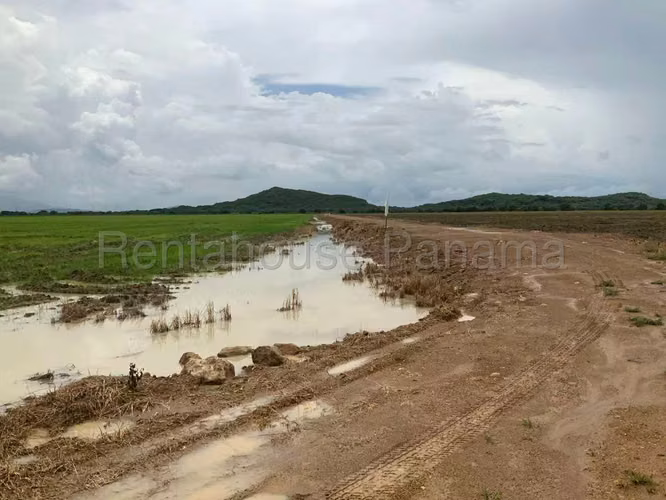 Venta de Terreno en Penonome Finca Agroganadera NS