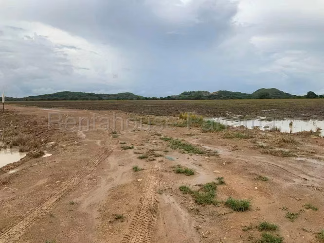 Venta de Terreno en Penonome Finca Agroganadera NS