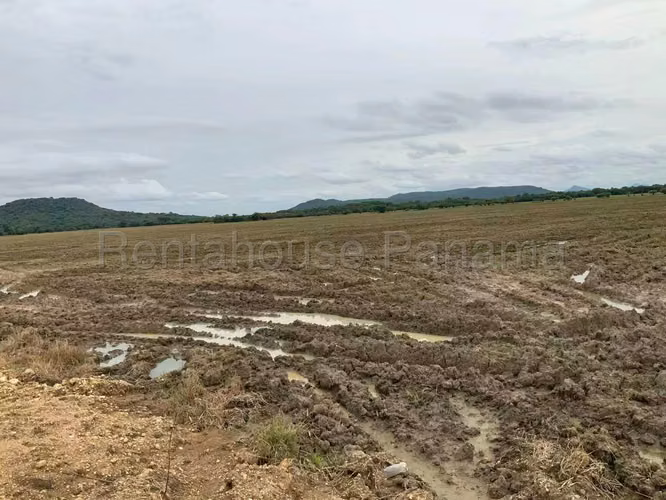 Venta de Terreno en Penonome Finca Agroganadera NS