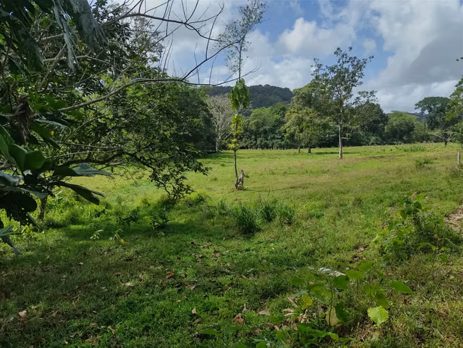 Alquiler o Venta de 32 Hectáreas Achiote, Distrito de Chagres
