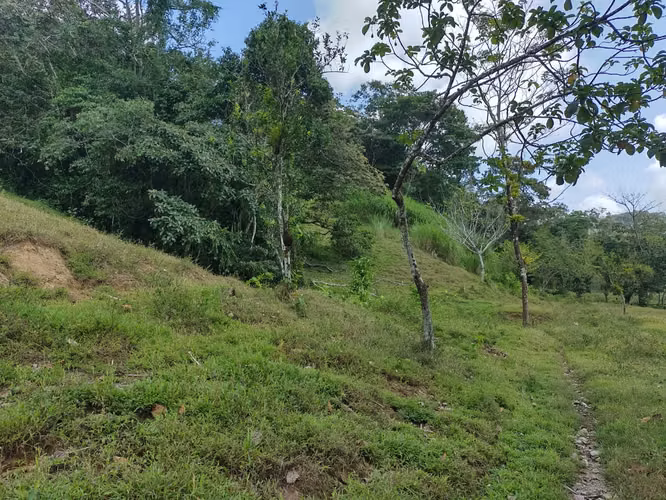 Alquiler o Venta de 32 Hectáreas Achiote, Distrito de Chagres