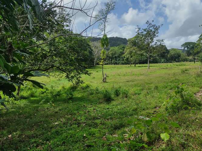 Alquiler o Venta de 32 Hectáreas Achiote, Distrito de Chagres