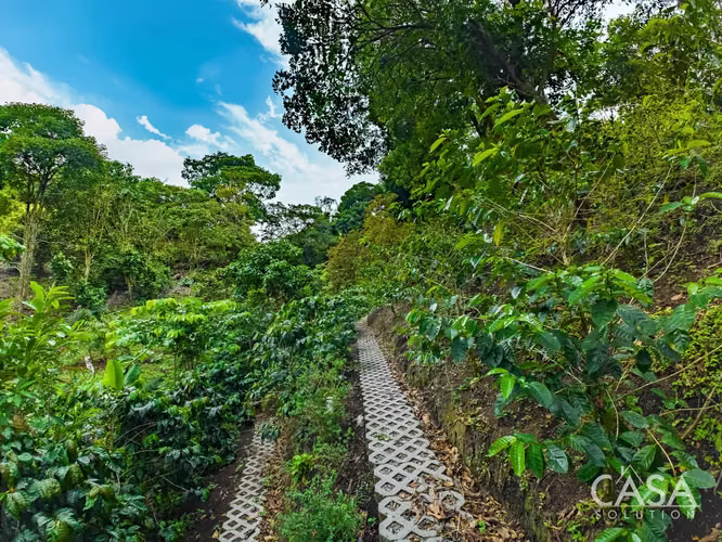Cabaña con Mirador, Plantas de Café y Vistas Al Volcán Barú en Venta en Jaramillo, Boquete