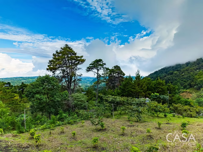 Cabaña con Mirador, Plantas de Café y Vistas Al Volcán Barú en Venta en Jaramillo, Boquete