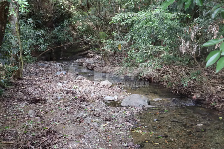 VENTA DE FINCA – EL LORO, VÍA LAS TABLAS / TONOSÍ