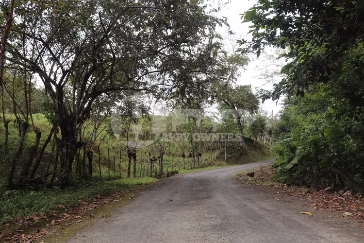 VENTA DE FINCA – EL LORO, VÍA LAS TABLAS / TONOSÍ