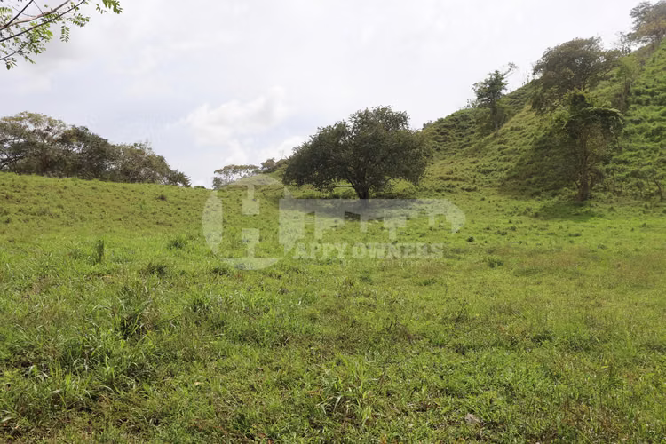 VENTA DE FINCA – EL LORO, VÍA LAS TABLAS / TONOSÍ
