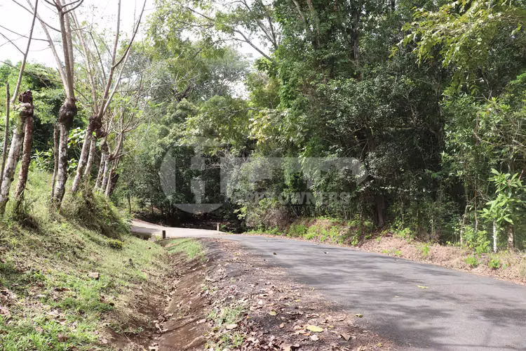 VENTA DE FINCA – EL LORO, VÍA LAS TABLAS / TONOSÍ