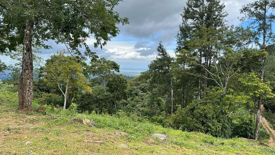 Venta de terreno en Cerro Azul