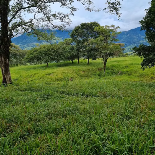 Se vende 38 hectáreas en Hornitos, excelentes vistas , ríos cascadas