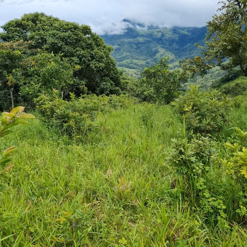 Se vende 38 hectáreas en Hornitos, excelentes vistas , ríos cascadas