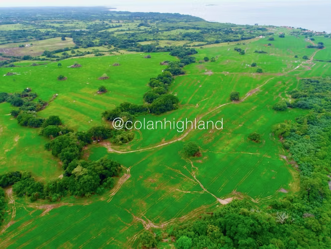 Se Alquila Finca de 121 Hectareas en Pedasi
