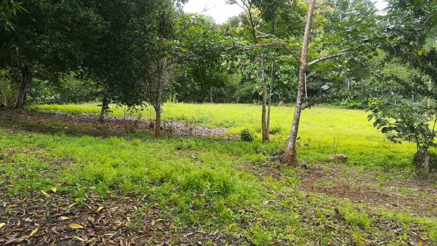 VENTA DE FINCA EN TOLÚ, LOS SANTOS