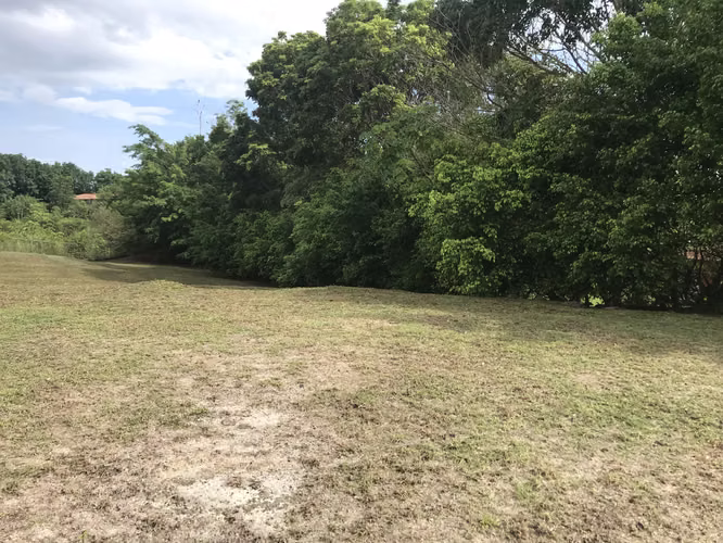 VENTA TERRENO EN SAN CARLOS