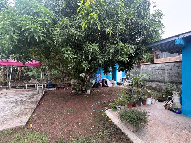 Venta de propiedad para uso comercial - Imagen 4