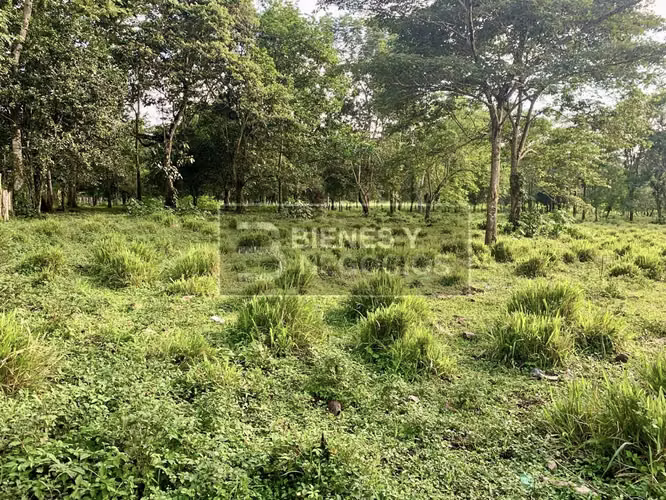Terreno en Chiriqui, Bugaba, 1.7 Hectàreas en San Miguel