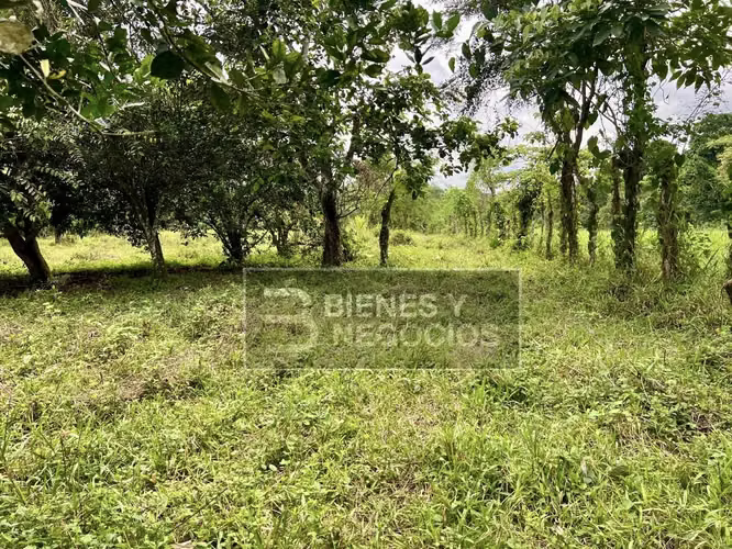 Terreno en Chiriqui, Bugaba, 1.7 Hectàreas en San Miguel